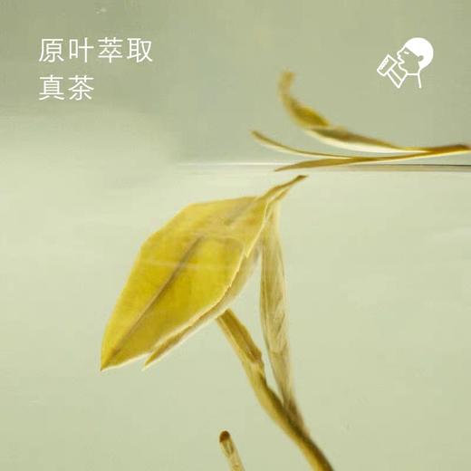 喜茶小奶茉牛乳茶350ml 商品图2