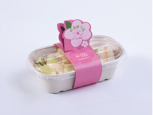 拾春便当盒（网纹瓜） 商品图1