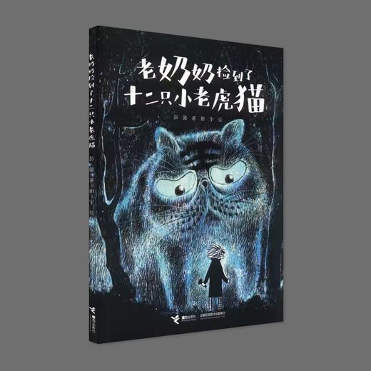 老奶奶捡到了十二只小老虎猫 商品图0