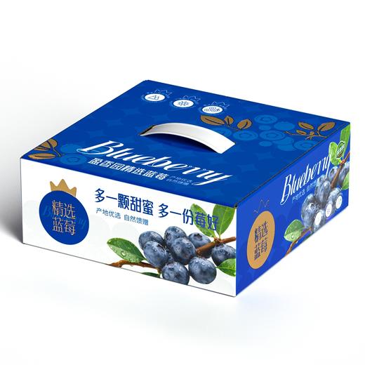 云南蓝莓中果6盒礼盒装（125g/盒 果经14mm+） 商品图0