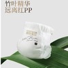 碧芭宝贝胖达2代系列纸尿裤纸尿裤XL/5  38片 商品缩略图2