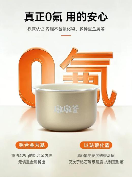 BRUNO小饭墩电饭煲 商品图1