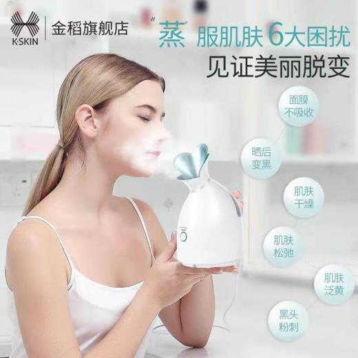 金稻 纳米喷雾补水仪 热喷蒸脸 面部清洁 KD3331 商品图1