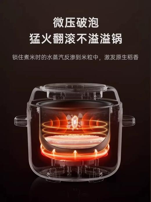 BRUNO小饭墩电饭煲 商品图4