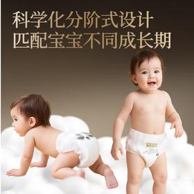 碧芭宝贝胖达2代系列纸尿裤纸尿裤L/4  42片