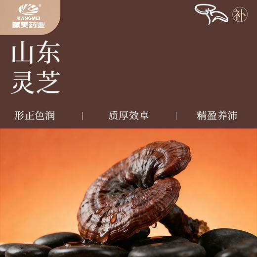 康美西洋参灵芝玉灵膏220g 古法蒸桂圆西洋灵芝养生膏泡水温养送礼 商品图3