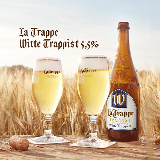 康文教堂 12.2°P荷兰进口修道士啤酒教堂白啤酒 750ml/1瓶/6瓶 商品图5