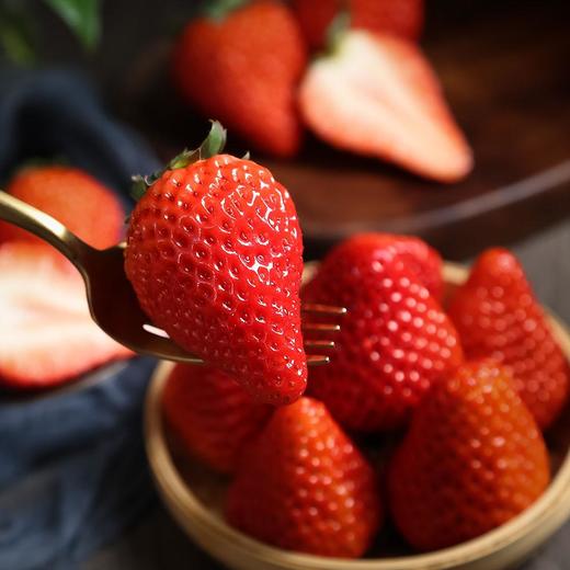安徽红颜草莓优选大果1kg装（单果15g+） 商品图0