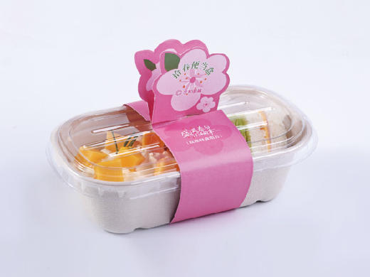 拾春便当盒（芒果） 商品图1