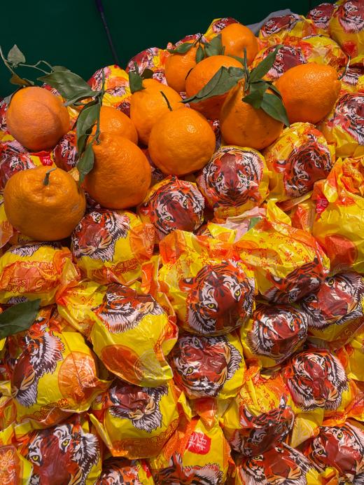 大众虎头丑橘三斤 商品图0