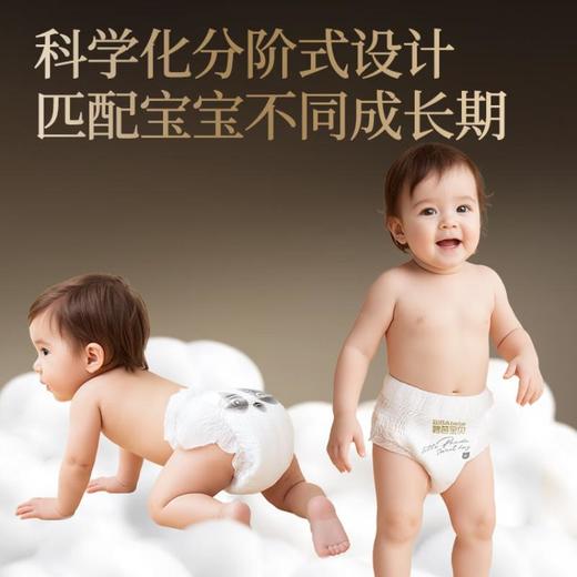 碧芭宝贝胖达2代系列纸尿裤拉拉裤L/4   34片 商品图3