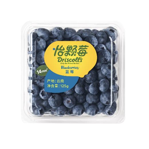 Driscoll's怡颗莓-云南蓝莓中果12盒装（125g/盒 果经14mm+） 商品图0