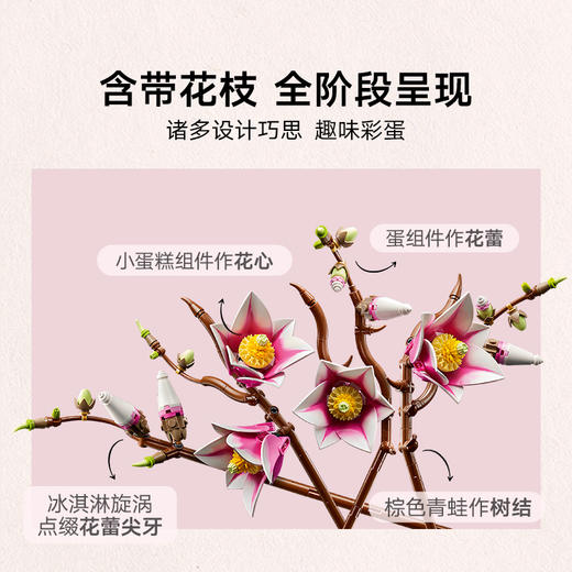 乐高LEGO 木兰花枝LEGC11510 商品图4