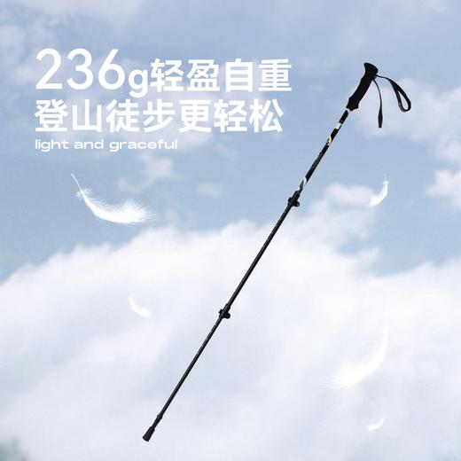 洛克猩球登山杖 商品图9