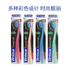 瑞士Trisa超柔倍护牙刷 商品缩略图3
