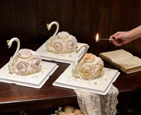 【女神节限定】天鹅仙子