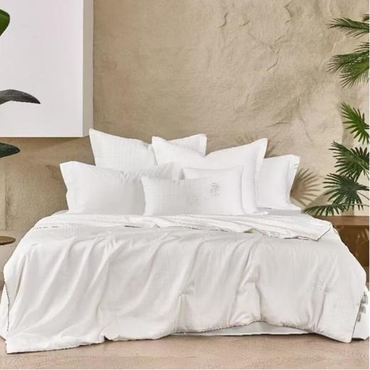 罗莱 鸿运桑蚕丝春被 220cm*250cm 商品图0