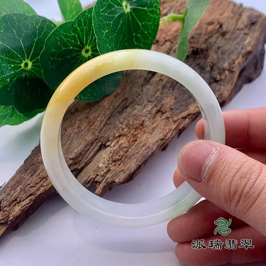 派瑞翡翠 翡翠手镯 糯种 绿色 黄翡 商品图3