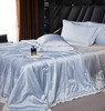 【新品】臻丝水光夏被 商品缩略图4