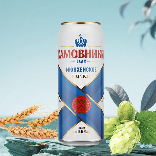 鸿迈（慕尼黑）精酿啤酒450毫升×10/盒 商品图4