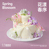 花漾春序 商品缩略图1