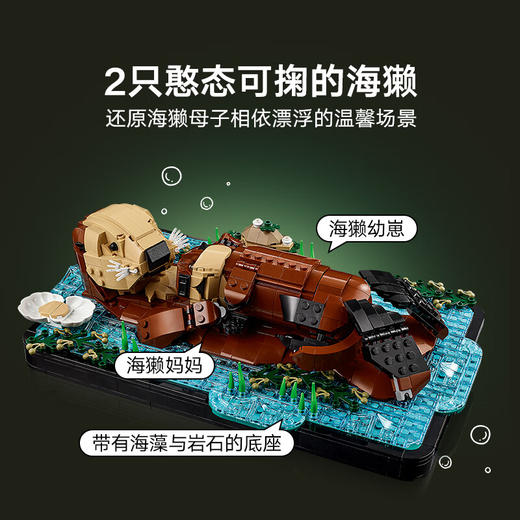 乐高LEGO IDEAS 21366LEGC21366 商品图2