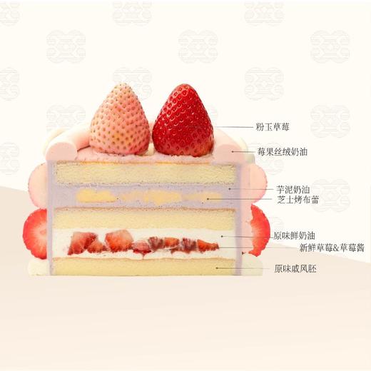 ⚜️粉芒冠冕 商品图1