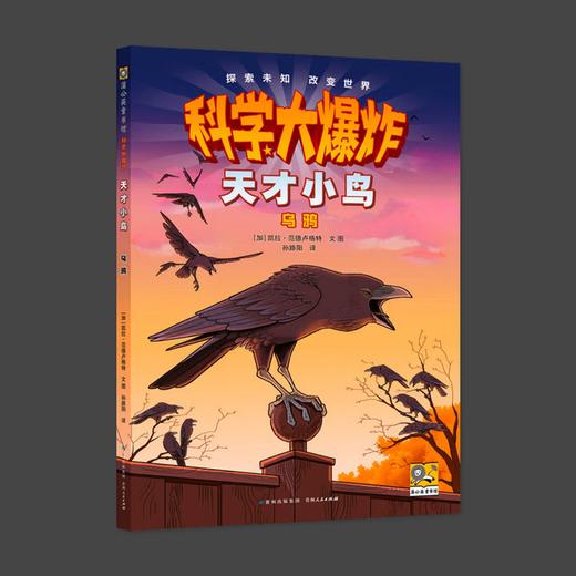 科学大爆炸 天才小鸟 乌鸦 商品图0