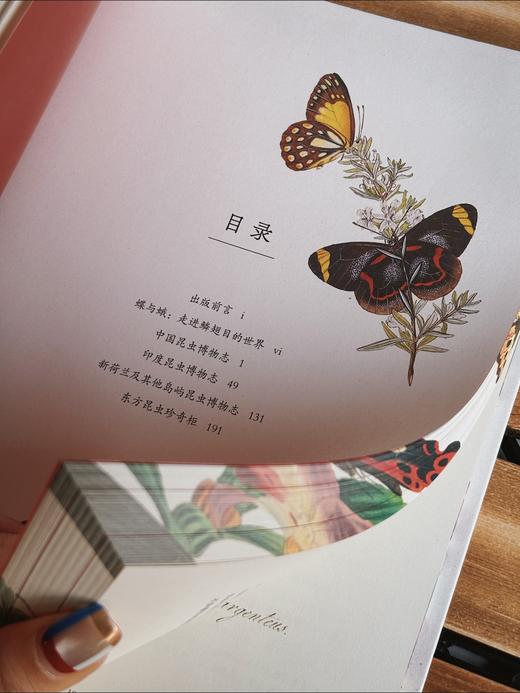 蝶之恋 博物画中的蝴蝶 ［英］爱德华·多诺万 商品图5