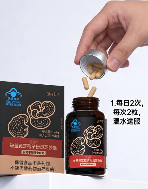 KJ 尊鹏破壁灵芝孢子粉灵芝胶囊24g(0.4g/粒*60粒） 商品图0