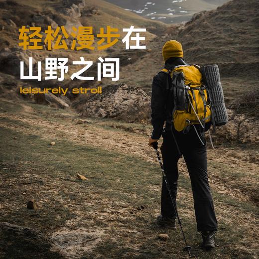 洛克猩球登山杖 商品图1