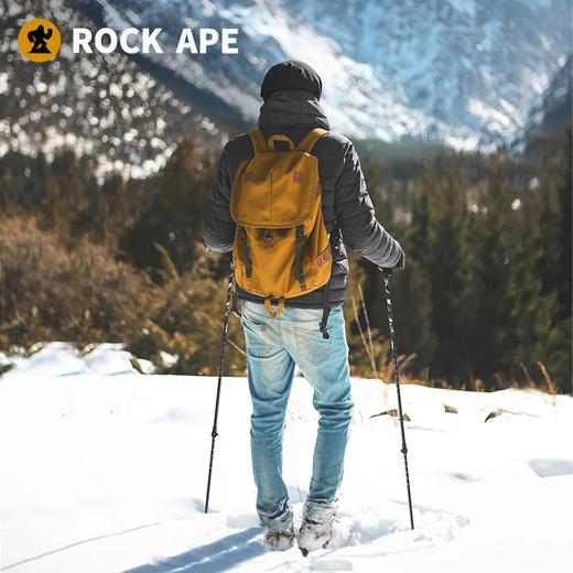 洛克猩球登山杖 商品图0