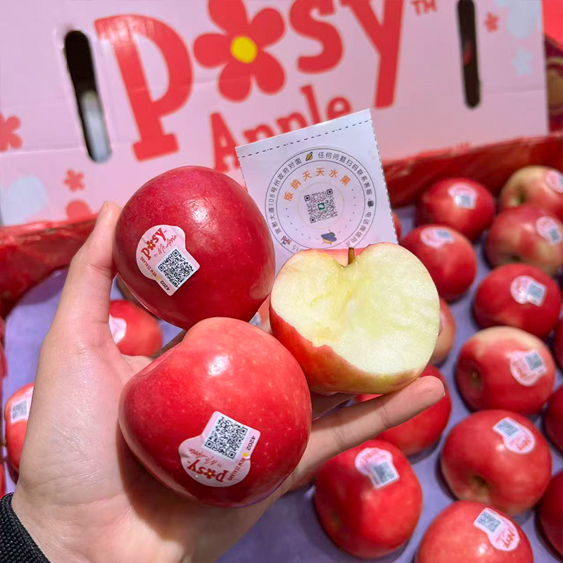 新西兰小花苹果  脆甜多汁 花香味十足