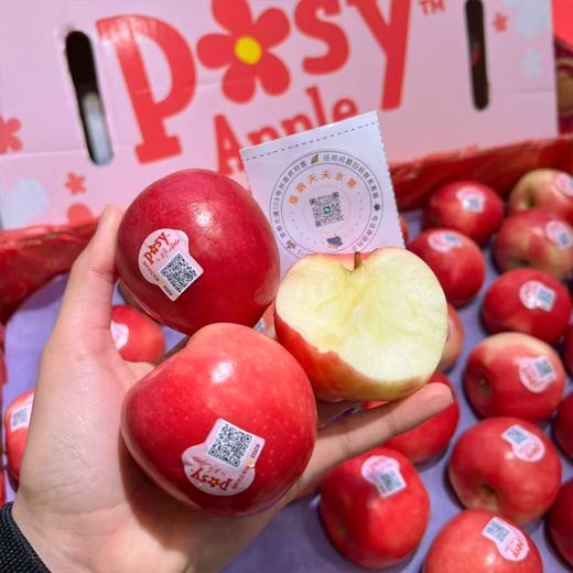 新西兰小花苹果  脆甜多汁 花香味十足 商品图0