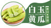 【严选】山东海阳爽口清甜白玉黄瓜/京彩高糖番茄4-4.2斤装 （厂家直发） 商品缩略图1