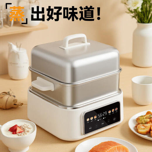 德世朗DDQ-HG128多功能电蒸锅 商品图1