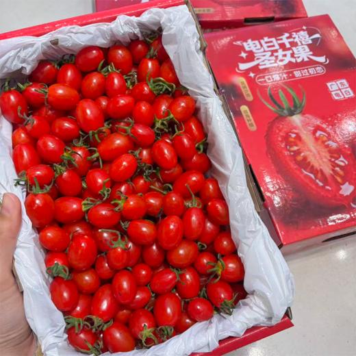 刘婆婆小甜甜千禧 小番茄 圣女果 好吃的甜番茄 商品图13