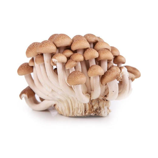 蟹味菇（盒） 商品图0