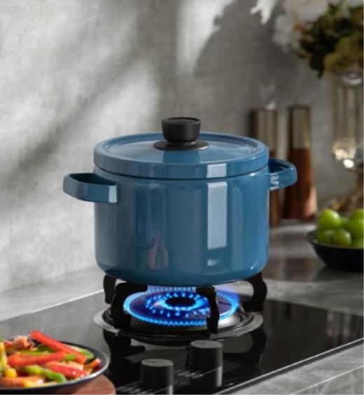 德世朗DFS-T941A-BU 珐琅多用高汤锅 商品图0