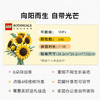 乐高LEGO 向日葵花束LEGC11502 商品缩略图2