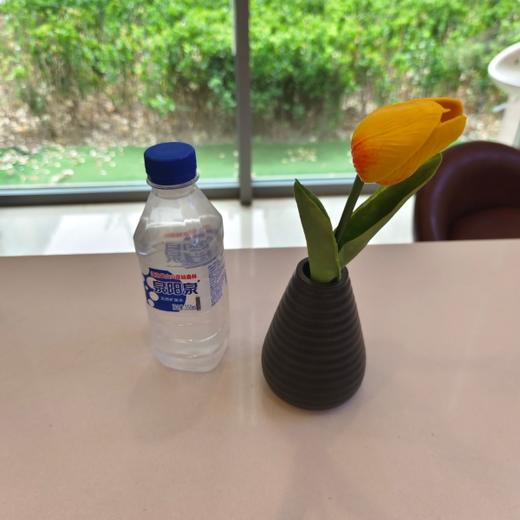 泉阳泉长白山天然矿泉水350ml 商品图0