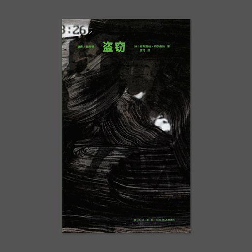 盗窃 商品图0