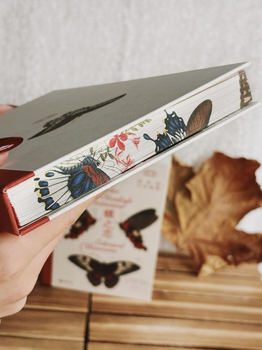 蝶之恋 博物画中的蝴蝶 ［英］爱德华·多诺万 商品图2