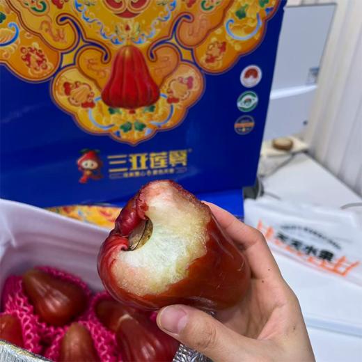 南麓一号莲雾 微笑果 海南空运 好好吃 商品图1