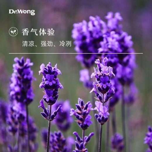 穗花薰衣草 单方精油 商品图1