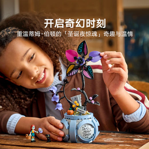 乐高LEGO 莎莉的创意花盆LEGC43288 商品图3
