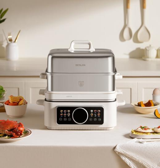 德世朗DDQ-ZG182多功能电蒸锅 商品图0