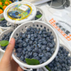 花香蓝莓 12+小果 商品缩略图0