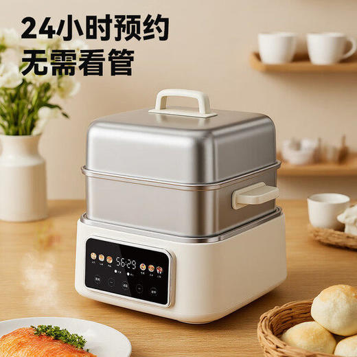 德世朗DDQ-HG128多功能电蒸锅 商品图2