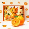 【严选】四川原产地直发果肉脆甜多汁明日见柑橘 6斤/8斤装  （厂家直发） 商品缩略图5